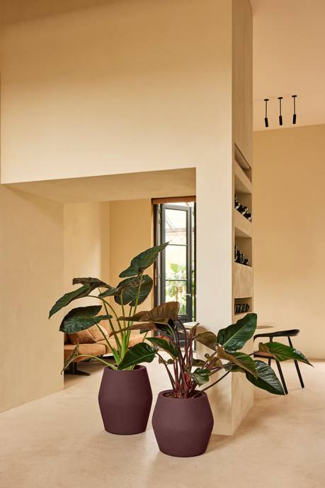 june split high 46cm vintage prugna